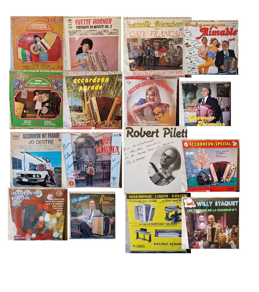 vinyles lot accordéon, Enlèvement ou Envoi, Utilisé, Autres formats, Autres genres