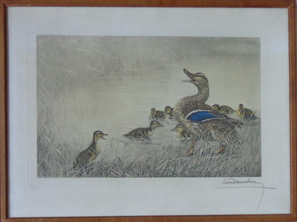 LEON DANCHIN / EEND MET KUIKENS / KLEURETS / 57x75cm KADER, Enlèvement