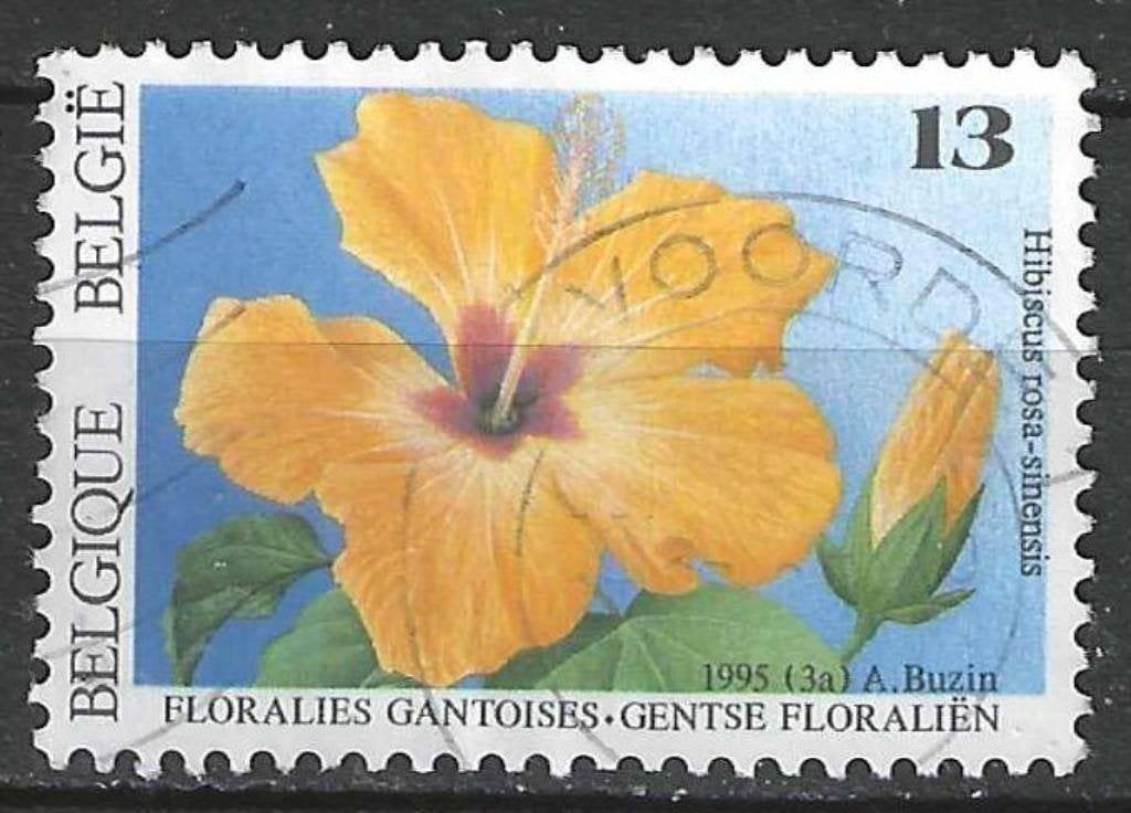 Belgique 1995 - Yvert/OBP 2589 - Gand Floralien IX (ST), Envoi, Affranchi, Oblitéré
