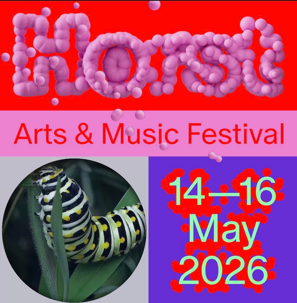 1 billet combiné Horst Festival + billet de camping, Enlèvement, Neuf