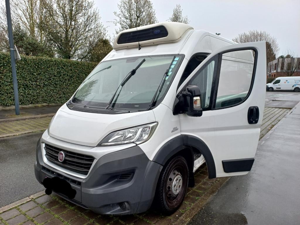 Camion frigorifique, Particulier, Te koop, Fiat
