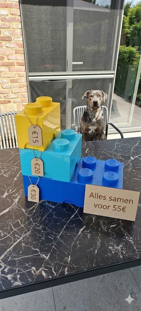 Lego grote blokken / opbergdozen, Kinderen en Baby's, Ophalen of Verzenden, Lego
