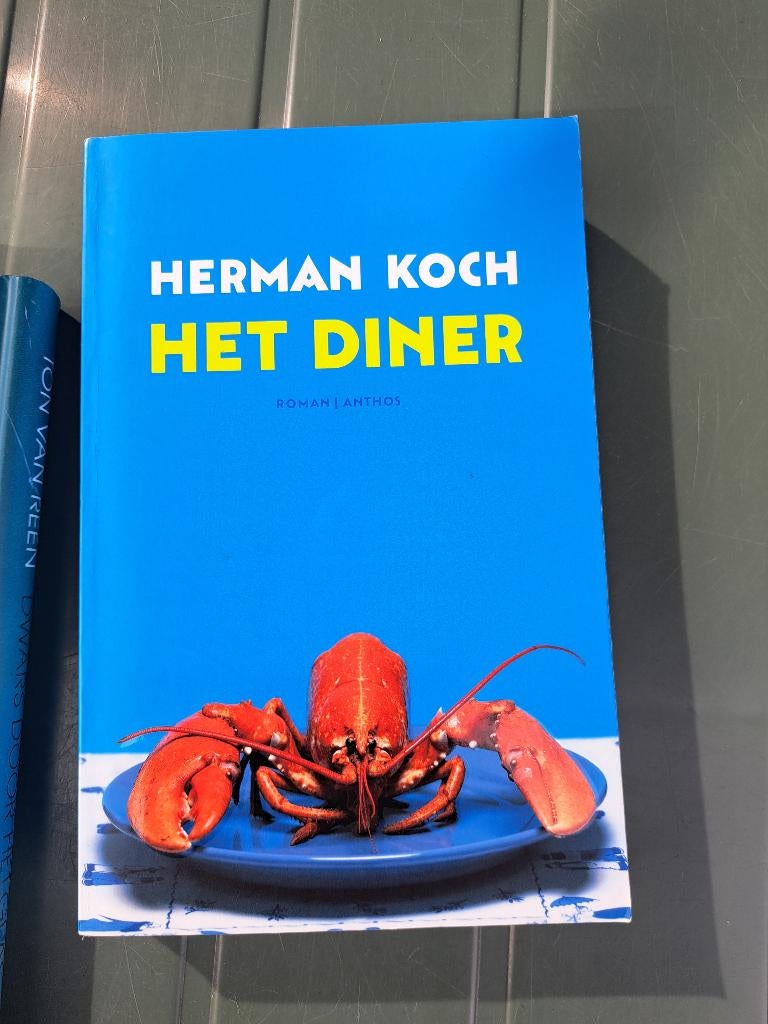 Boek Herman Koch : Het diner, Enlèvement ou Envoi, Pays-Bas