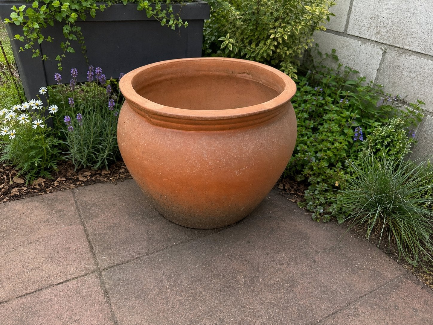 Grote terracotta bloempot – Ø 54 cm – Hoogte 50 cm, Enlèvement, Comme neuf, Terracotta, Jardin