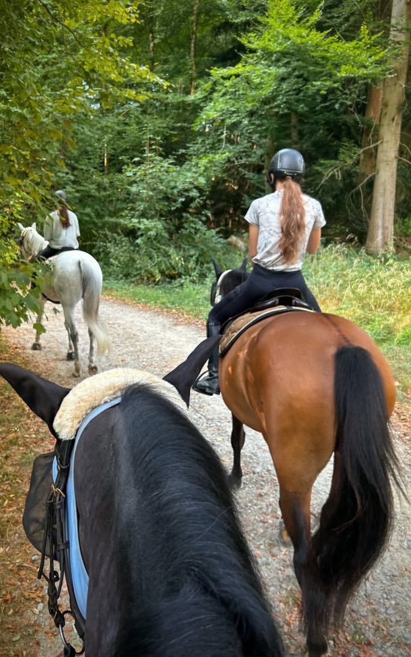 Chat contact gezocht )), Contacten en Berichten, Vriendschappen