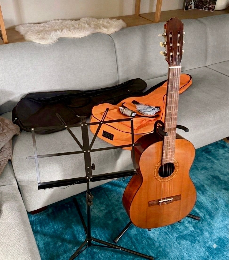 Vintage Japanse Iris Klassieke Gitaar + Accessoires, Ophalen, Gebruikt, Klassieke of Spaanse gitaar, Met koffer