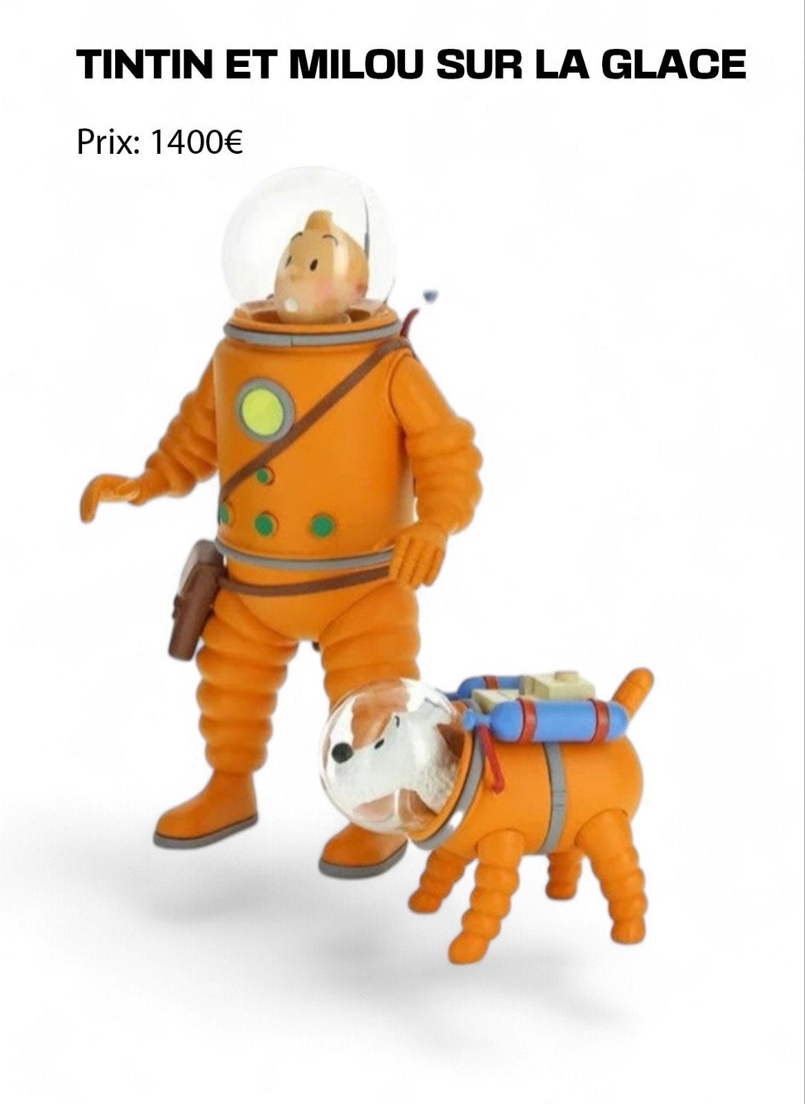 TINTIN, Enlèvement ou Envoi