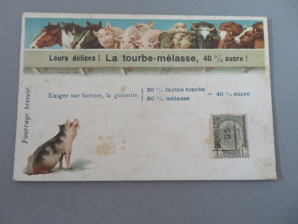 postkaart 1905 Veevoeders La Tourbe-Mélasse Borgworm Tienen, Enlèvement ou Envoi, Avant 1920, Affranchie, Artisanats et Métiers