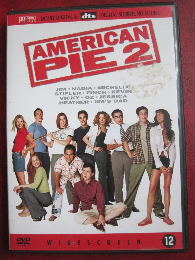 American pie 2 (2001), Cd's en Dvd's, Vanaf 12 jaar, Ophalen of Verzenden, Zo goed als nieuw, Overige genres