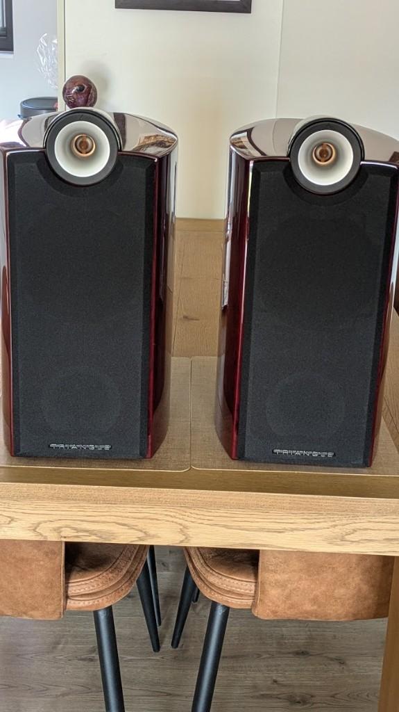 Thétas Triangle Signature, Autres marques, 60 à 120 watts, Comme neuf, Enlèvement