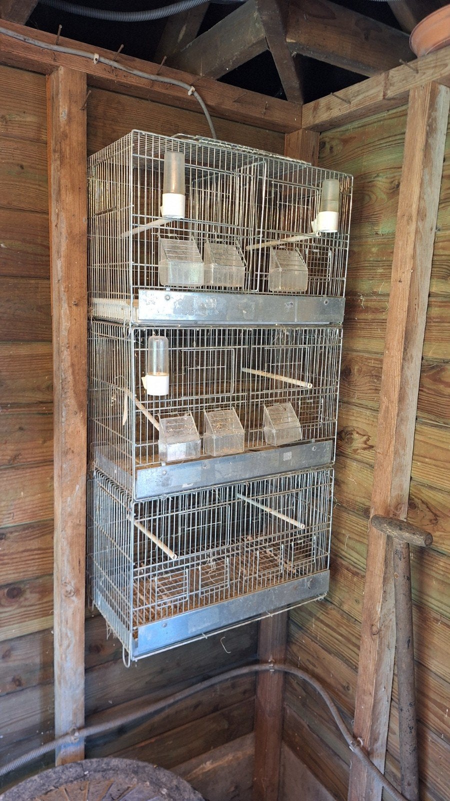 3 Kweekkooien voor kleine vogels, Dieren en Toebehoren, Ophalen