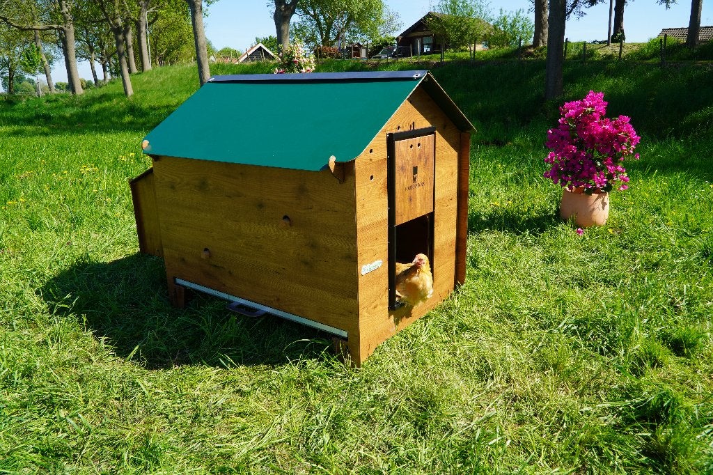 Trespa Kippenhok Cucciolotta Classic XL | Grondmodel, Ophalen of Verzenden, Nieuw