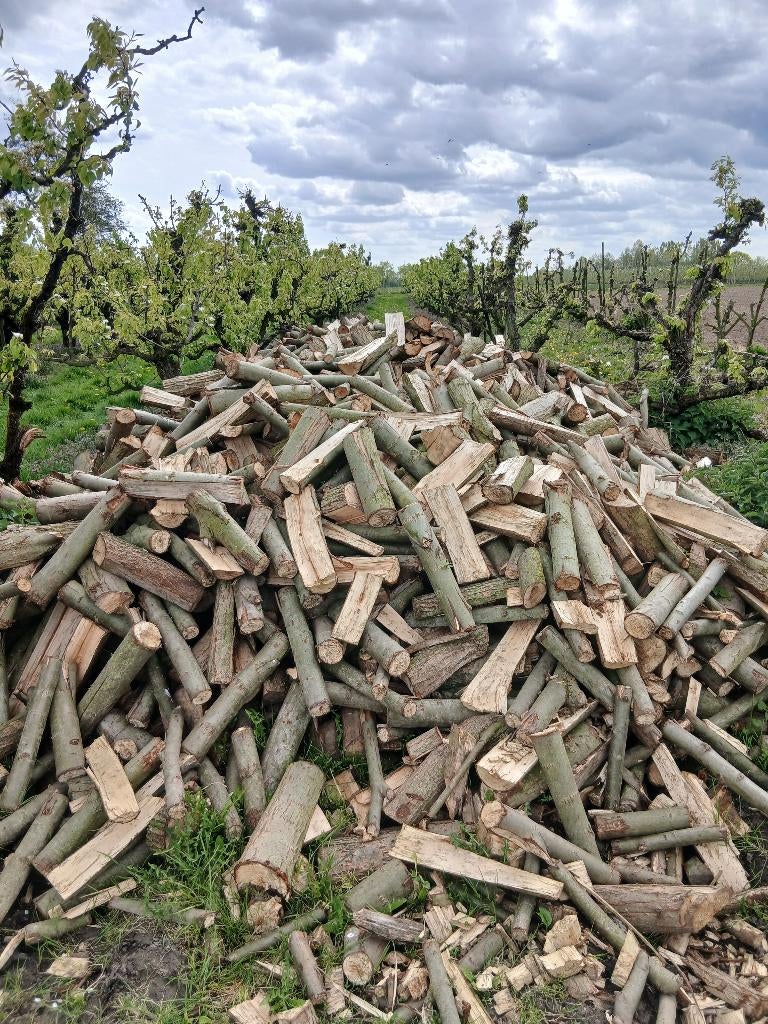 Brandhout, voornamelijk wilg, Tuin en Terras, Brandhout, 6 m³ of meer, Ophalen of Verzenden, Overige houtsoorten, Blokken