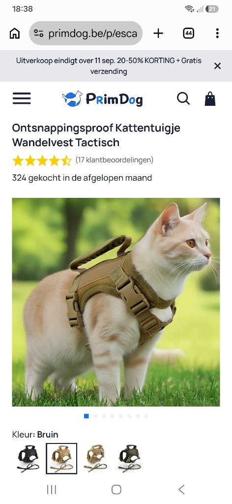 Kattentuigje, Animaux & Accessoires, Accessoires pour chats, Enlèvement, Neuf