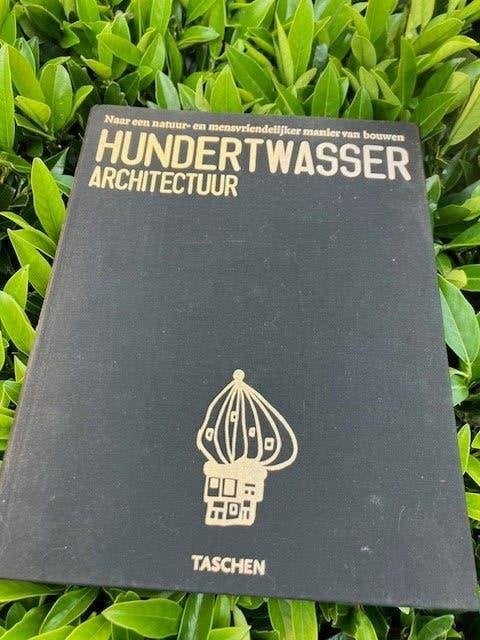 HUNDERTWASSER ARCHTITECTUUR. TASCHEN ISBN 3-8228-8382-4, Architecten, Taschen, Ophalen of Verzenden, Zo goed als nieuw