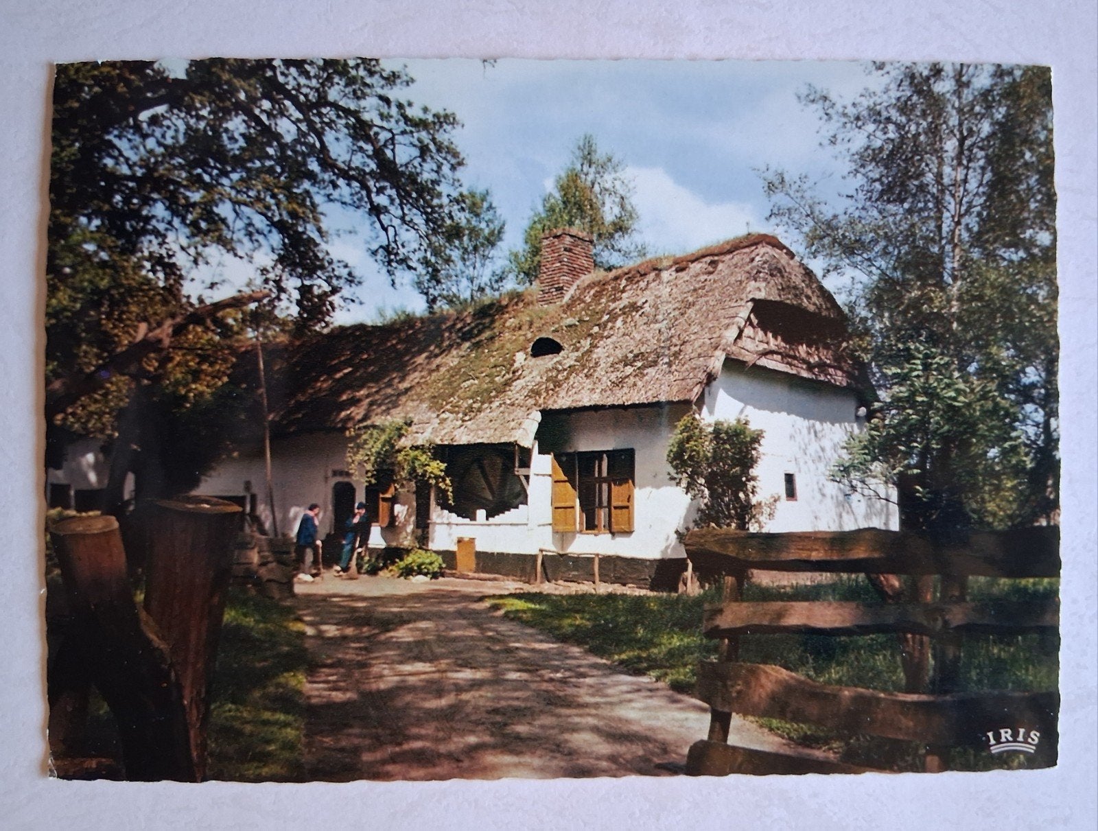 Postkaart Kempische hoeve uit Lummen in Bokrijk, Enlèvement ou Envoi