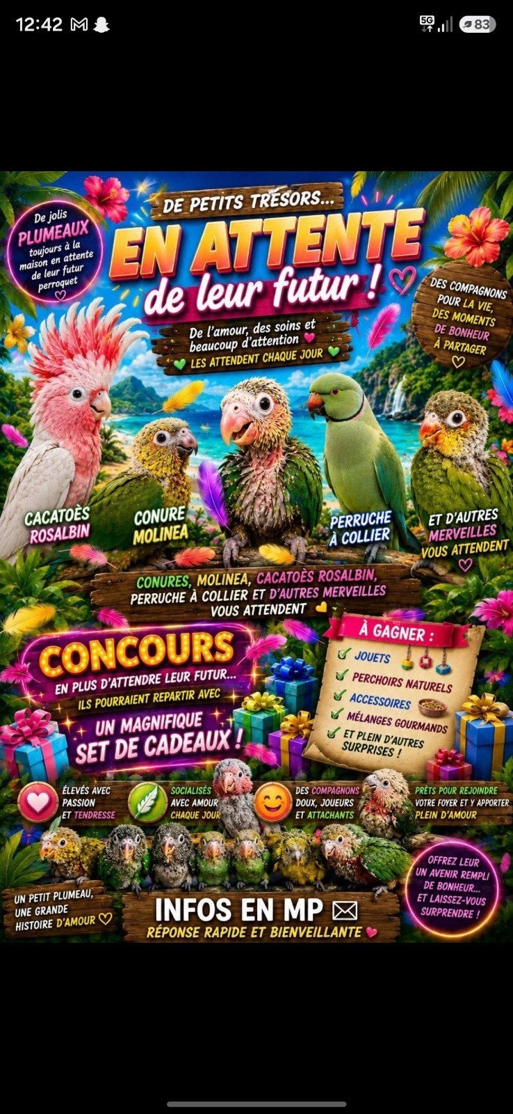 Les oiseaux mix, Enlèvement