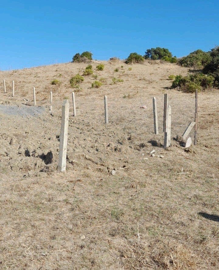 Grand terrain agricole titrè de à Tanger avec puit de 5498m2, Élevage