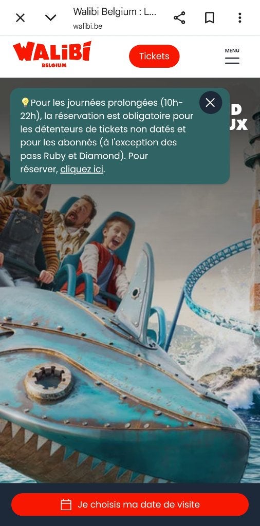Walibi, Eén persoon, Ticket of Toegangskaart