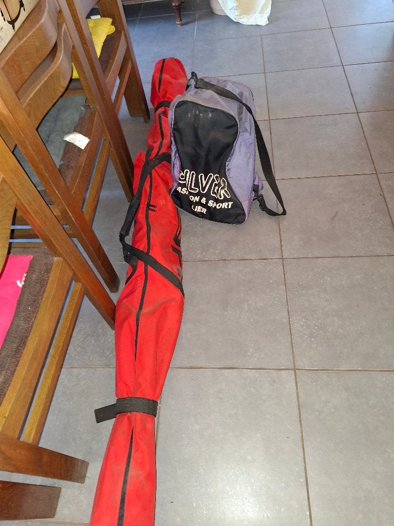 ski, Ophalen, Salomon, 180 cm of meer, Gebruikt