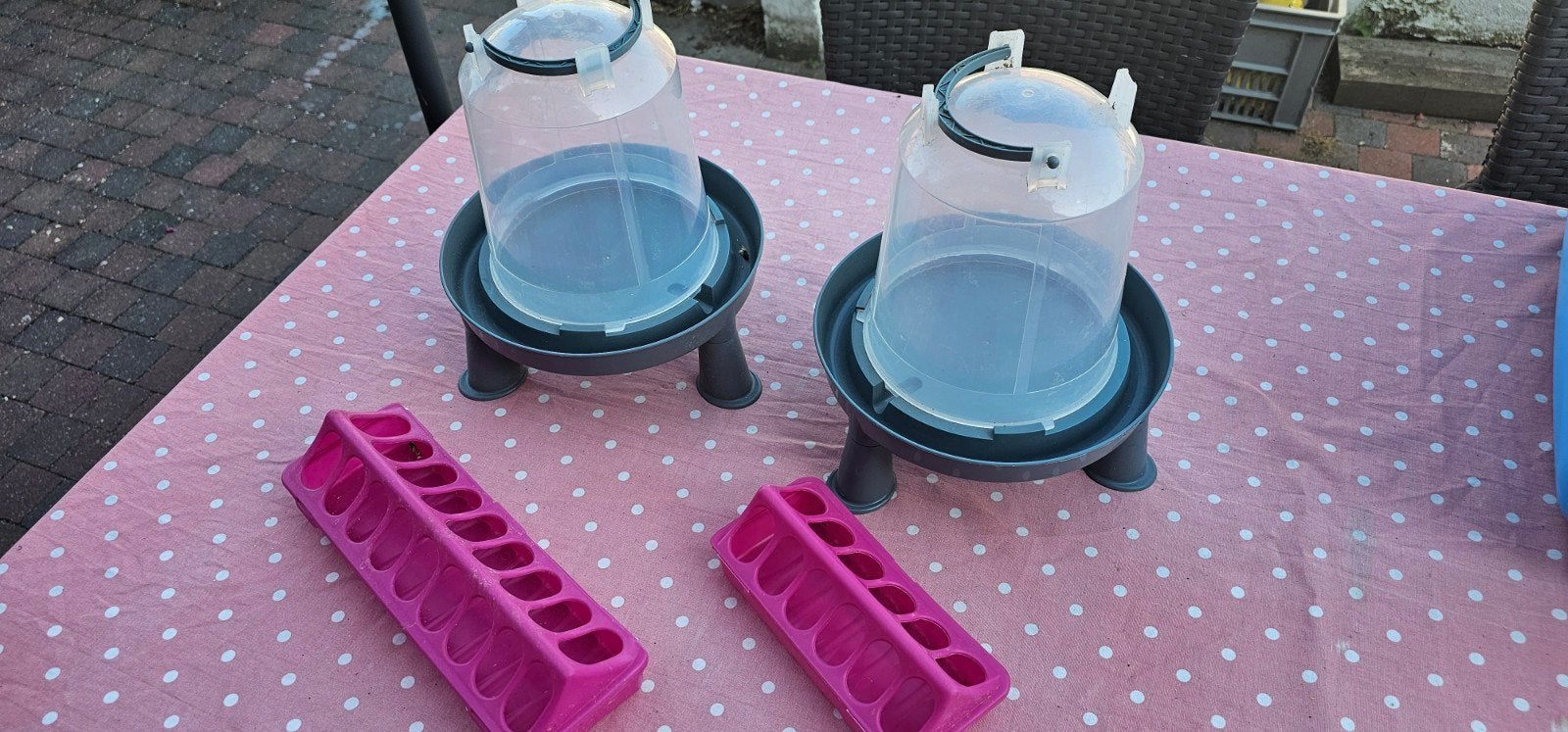2 abreuvoirs pour poules et 2 bacs à grains, Animaux & Accessoires