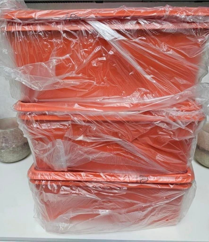 Boîtes à gaufres Tupperware, Enlèvement ou Envoi, Neuf