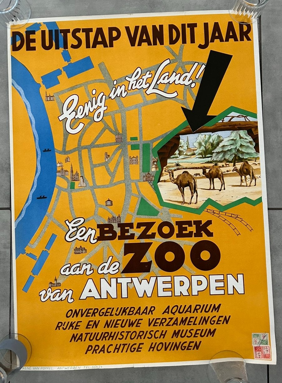 Affiche du zoo d'Anvers, Enlèvement ou Envoi