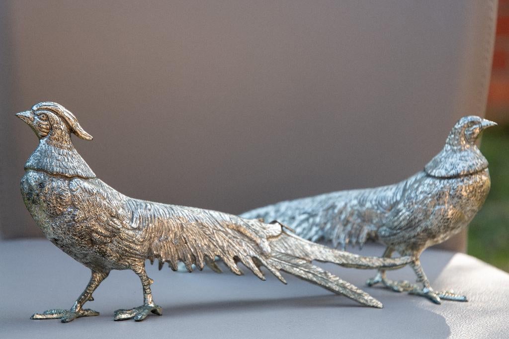 Zilveren fazanten paar, Ophalen, 20 - 50 cm, Beeld, Vogel