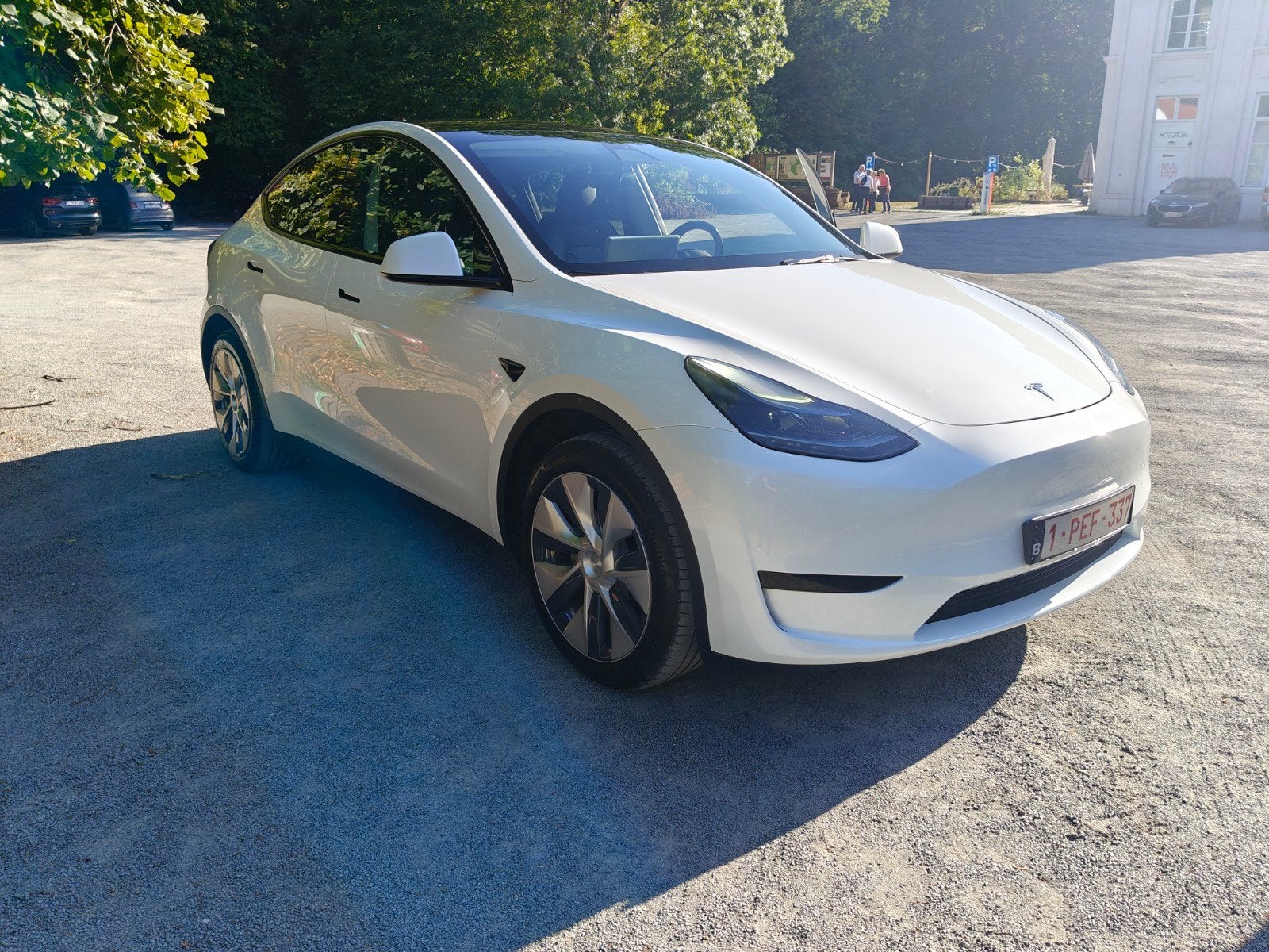 TESLA MODEL Y PROPULSION, Particulier, Électrique, Achat, Model Y
