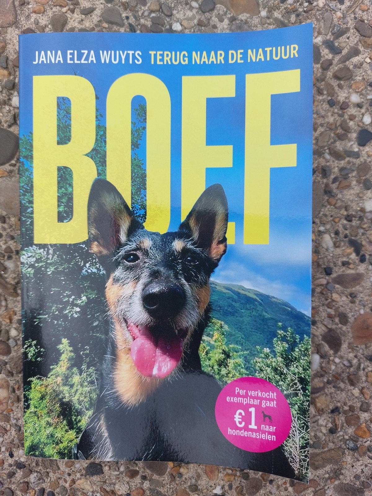 Boek Boef, Livres, Animaux & Animaux domestiques, Neuf, Jana Elza Wuyts, Enlèvement, Chiens