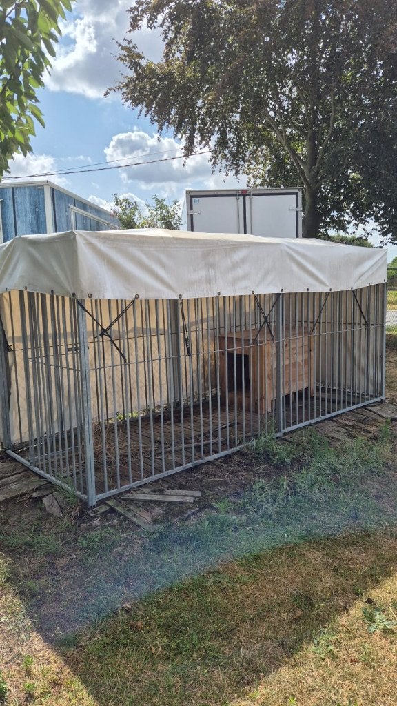 hondenren, Ophalen, Hondenkennel, 100 cm of meer, 110 cm of meer