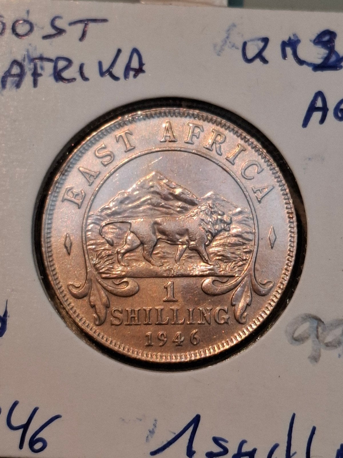oost Afrika 1 shilling 1946 km 28.4 zilver unc, Ophalen of Verzenden, Zilver