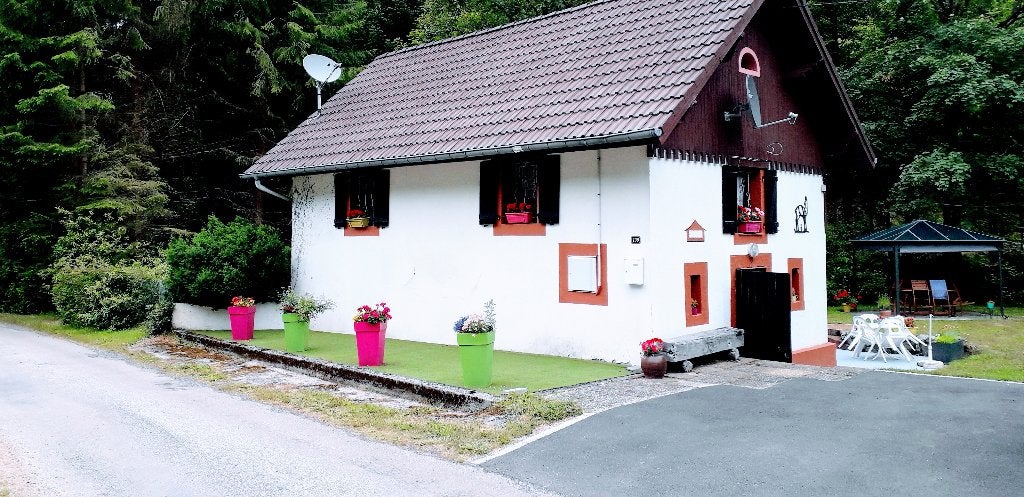 Gun uzelf een groene leefomgeving in het hart van de Vogezen, Immo, 58 m², Overige soorten, 3 slaapkamers