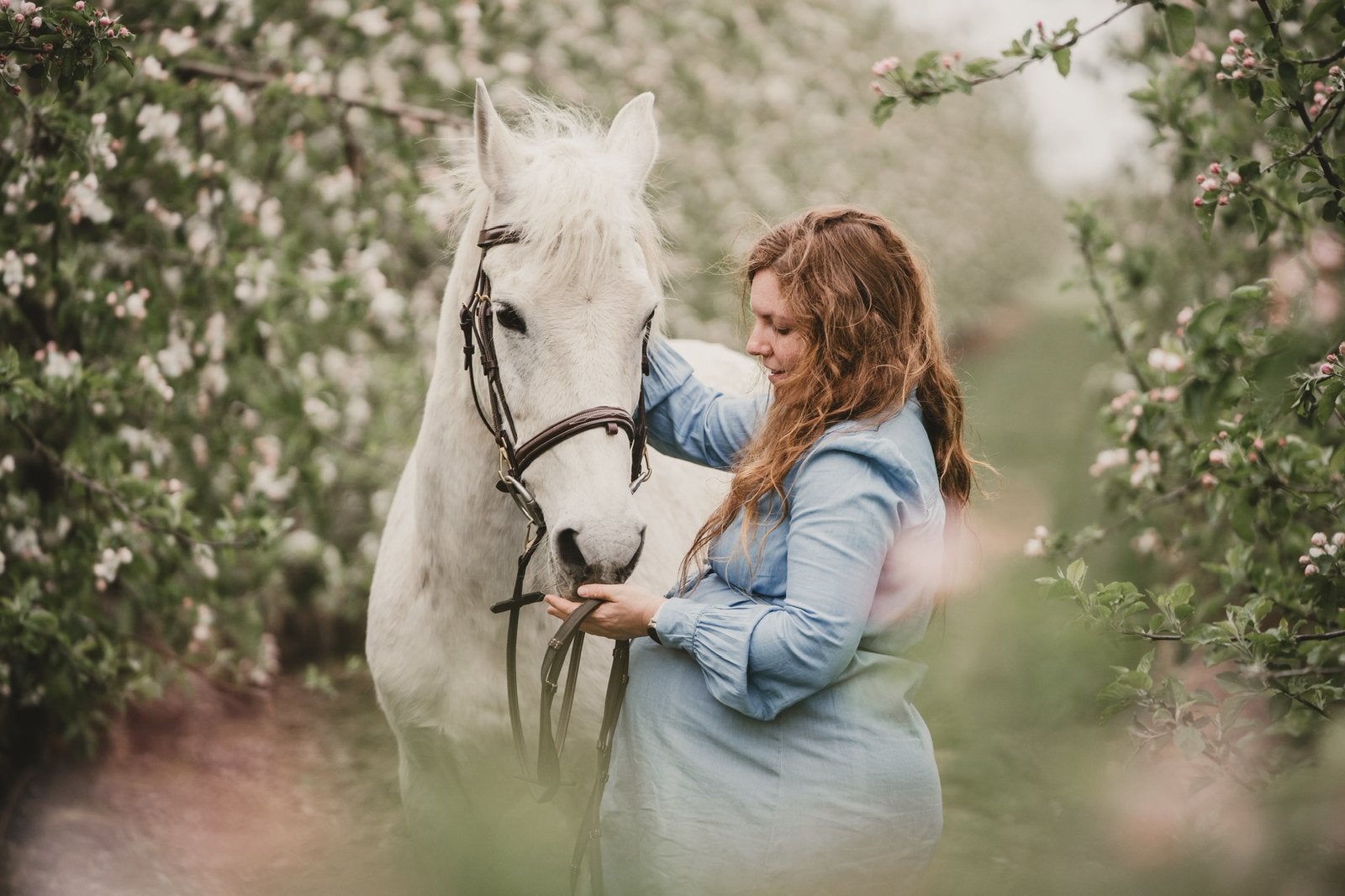 Paardenfotoshoot, Ophalen