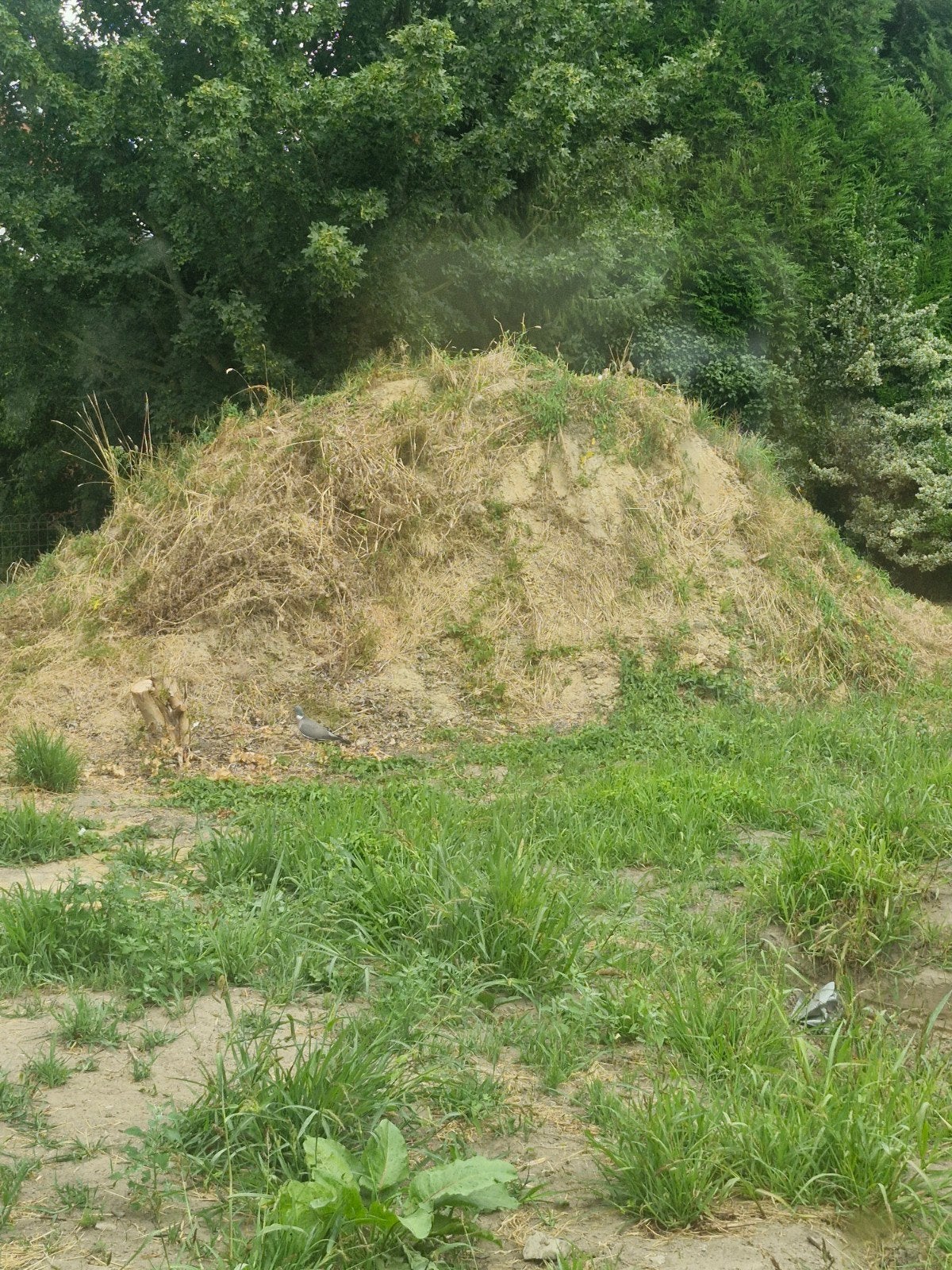 grond/aarde, Jardin & Terrasse, Terre & Fumier, Enlèvement