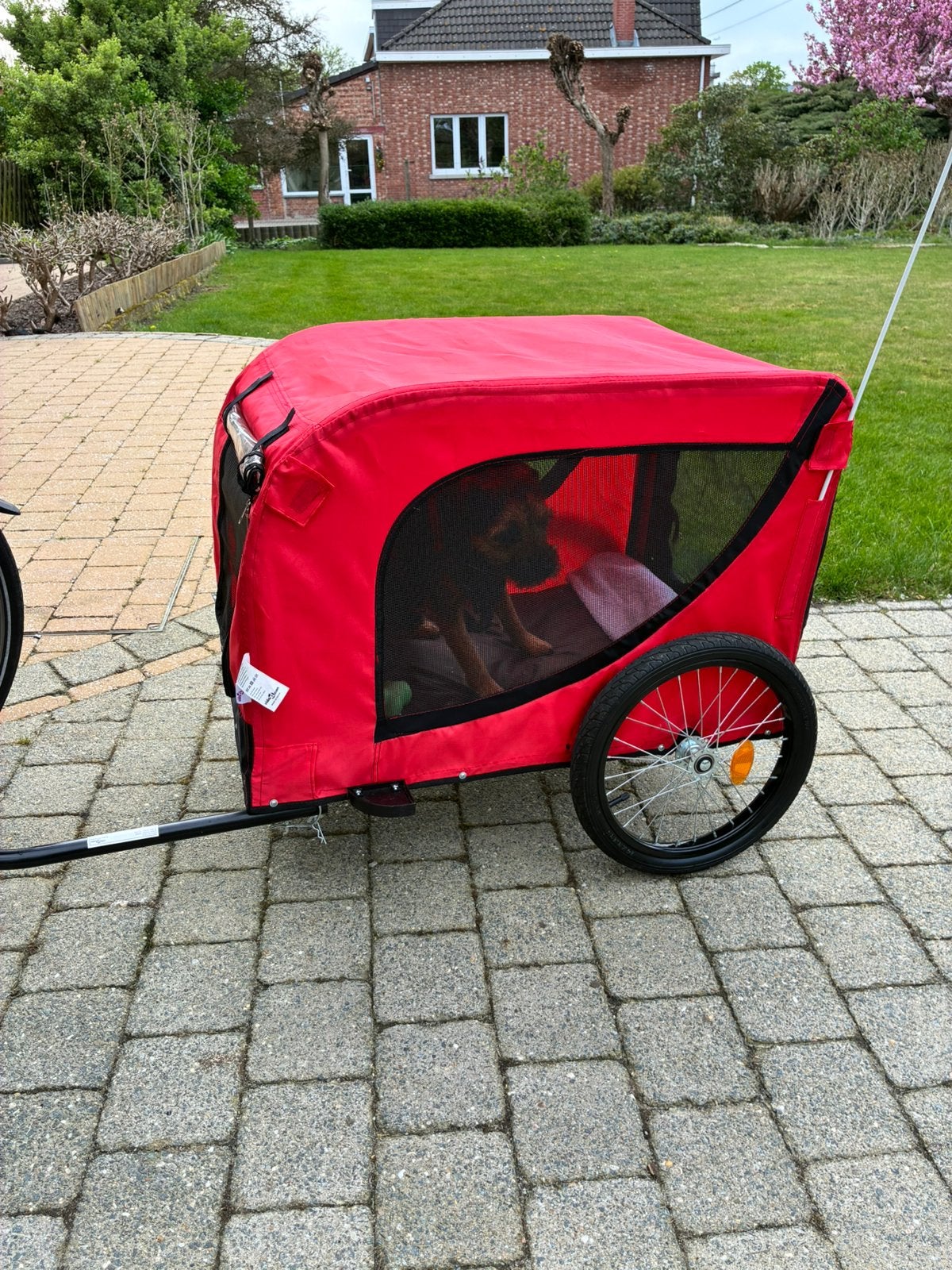 Hondenfietskar, Ophalen, Zo goed als nieuw