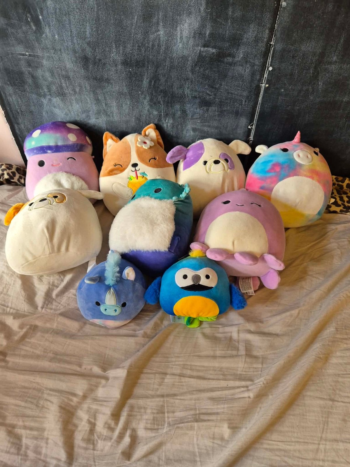 Squishmallows, Ophalen, Zo goed als nieuw, Meerkleurig, Wasbaar