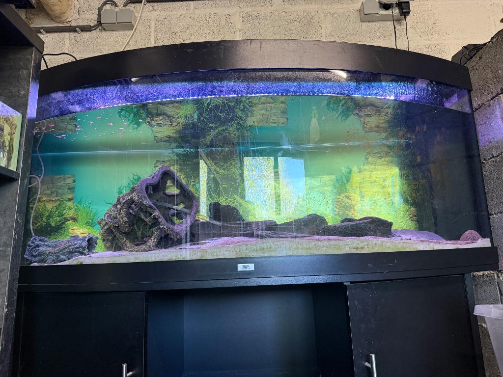 Aquarium complet +meuble, Enlèvement