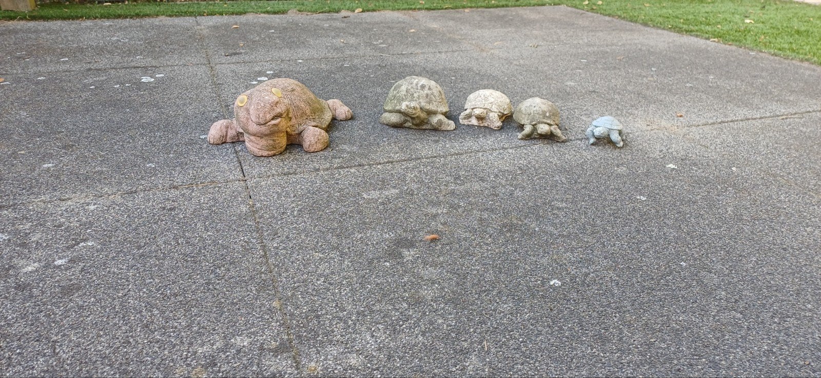 Stenen schildpadden, Ophalen, Beton