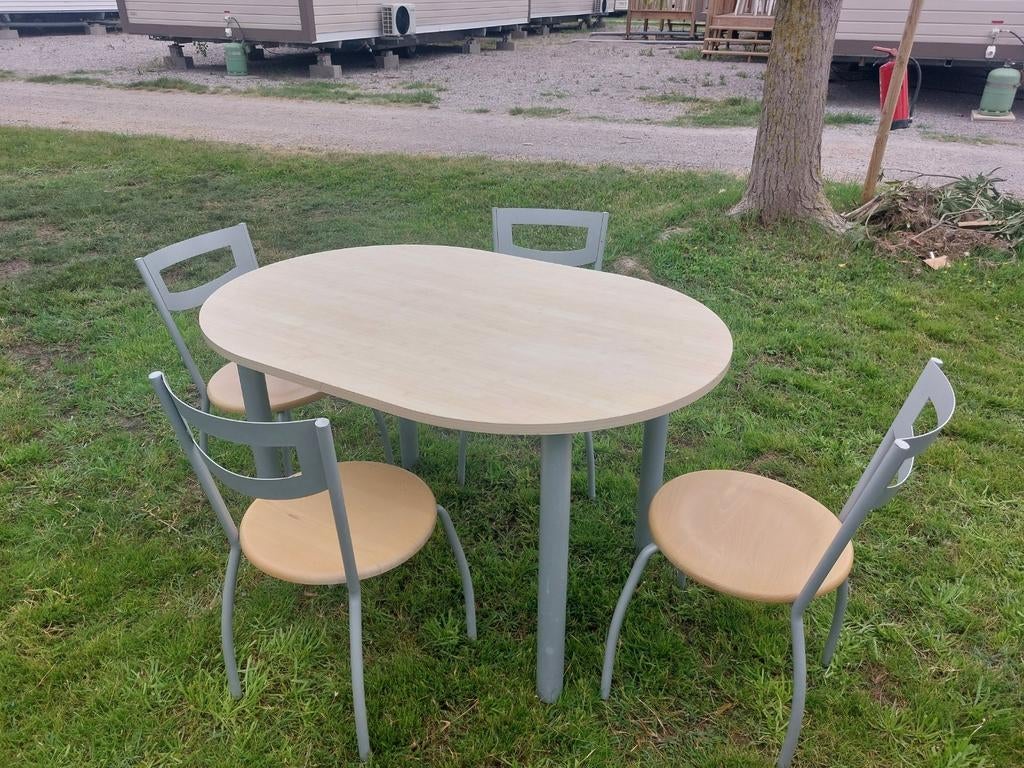 Table ovale et ses 4 chaises, Maison & Meubles, Tables | Tables à manger, Enlèvement, Ovale, Métal