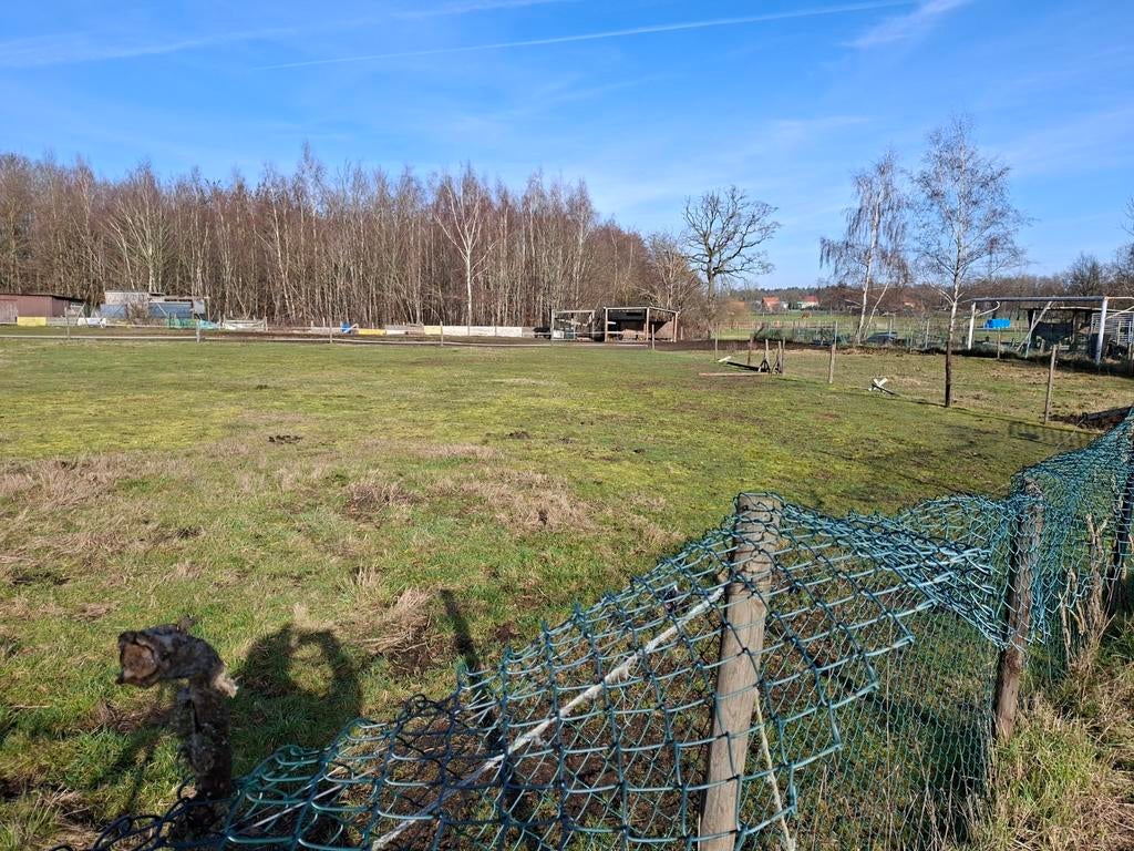 Weiland te huur