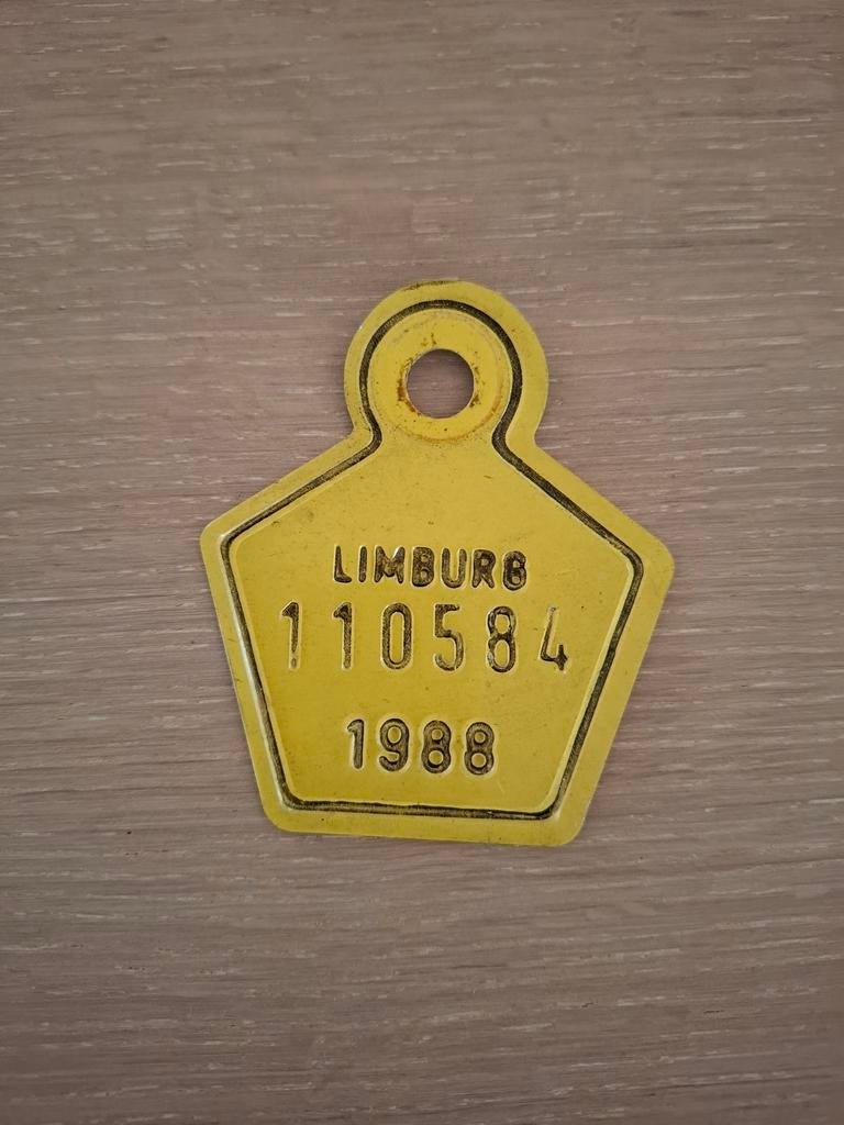 Fietsplaatje 1988 Limburg, Verzamelen, Ophalen of Verzenden, Zo goed als nieuw