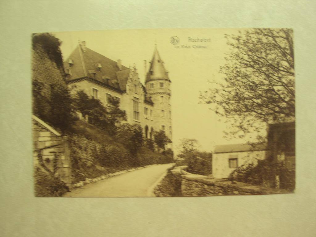 57042 - ROCHEFORT - LE VIEUX CHATEAU - DIANA HOTEL, Collections, Cartes postales | Belgique, Enlèvement ou Envoi