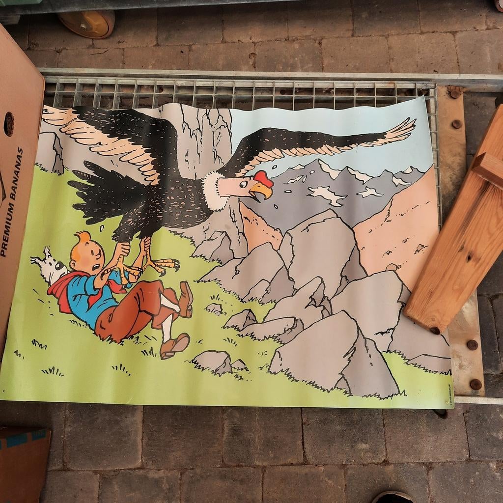 Kuifje ( poster ) 50 x 70 . 20 euro ., Ophalen of Verzenden, Kuifje