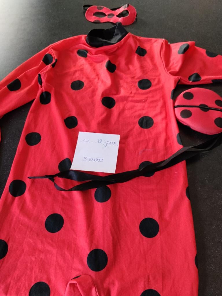 Verkleedkledij, Kinderen en Baby's, Ophalen