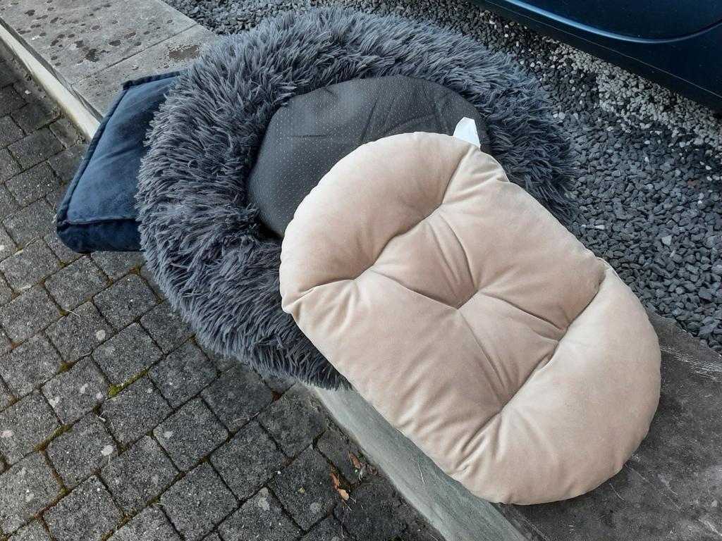 Coussins pour petit chien, Animaux & Accessoires, Enlèvement, Utilisé