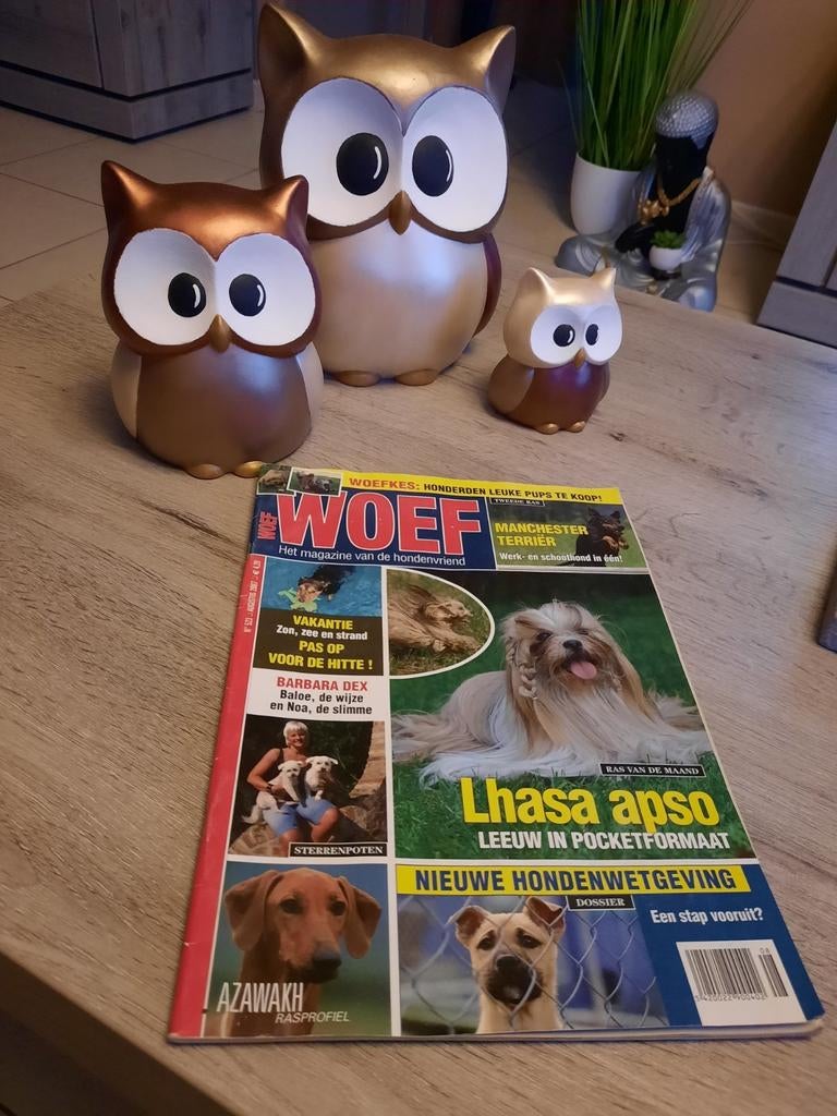 Tijdschrift woef, Ophalen of Verzenden, Zo goed als nieuw
