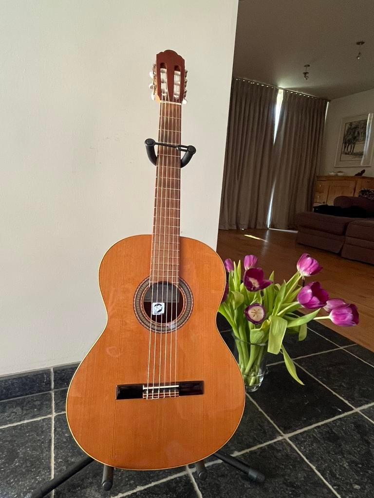 Klassieke gitaar Alhambra 1c, Muziek en Instrumenten, Ophalen, Gebruikt, Klassieke of Spaanse gitaar, Met koffer