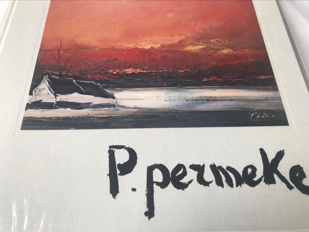 Paul Permeke gesigneerde monografie 90pag, Boeken, Ophalen of Verzenden, Zo goed als nieuw, Schilder- en Tekenkunst