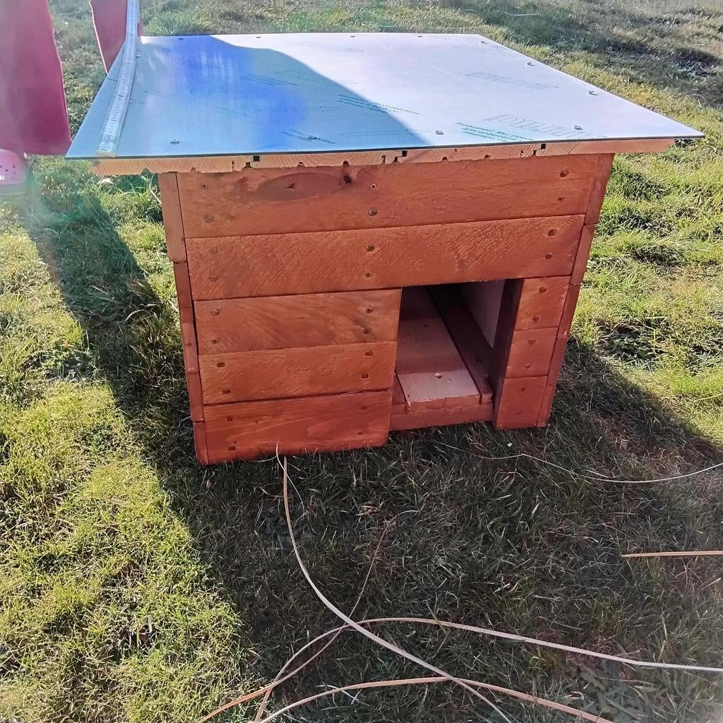 Kattenhuis, Dieren en Toebehoren, Ophalen